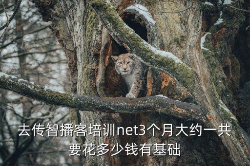去传智播客培训net3个月大约一共要花多少钱有基础