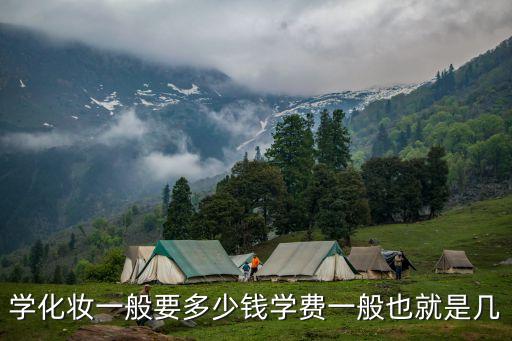 学化妆一般要多少钱学费一般也就是几