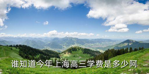 谁知道今年上海高三学费是多少阿