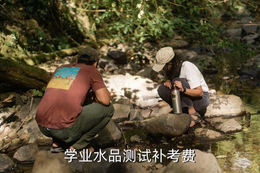 中考补考费是多少2015，学业水平补考怎么收费