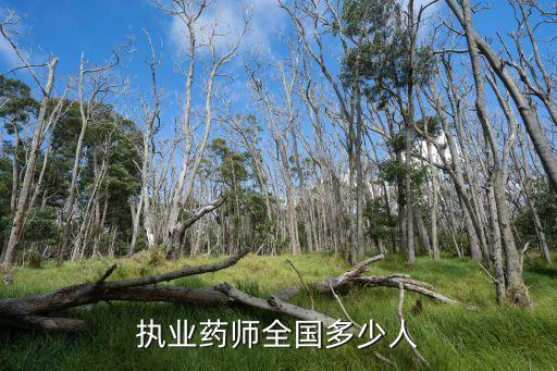 今年多少人考执业药师，执业药师全国多少人