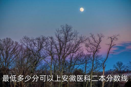 最低多少分可以上安徽医科二本分数线