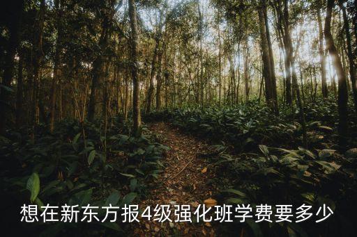 想在新东方报4级强化班学费要多少