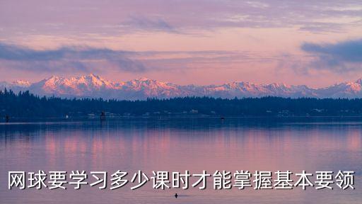 网球要学习多少课时才能掌握基本要领