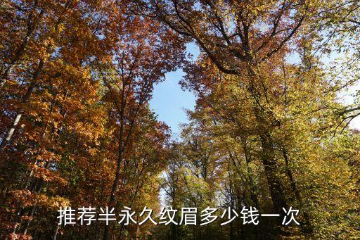 推荐半永久纹眉多少钱一次