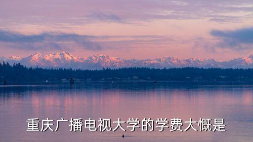 电大重庆学费多少钱，重庆电大一学期交多少学费