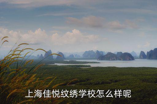 上海佳悦纹绣学校怎么样呢