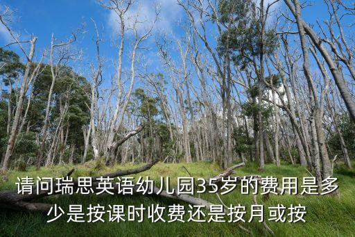 请问瑞思英语幼儿园35岁的费用是多少是按课时收费还是按月或按