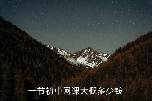 一节初中网课大概多少钱