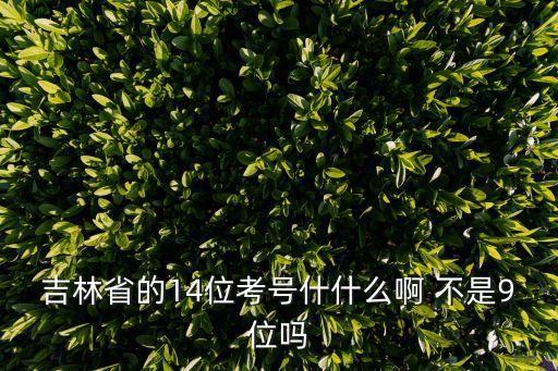 吉林省的14位考号什什么啊 不是9位吗