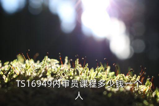16949内审员培训多少钱，TS16949内审员课程多少钱一个人