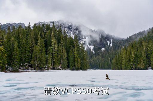 请教VCP550考试