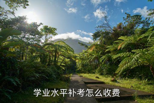 学业水平补考怎么收费