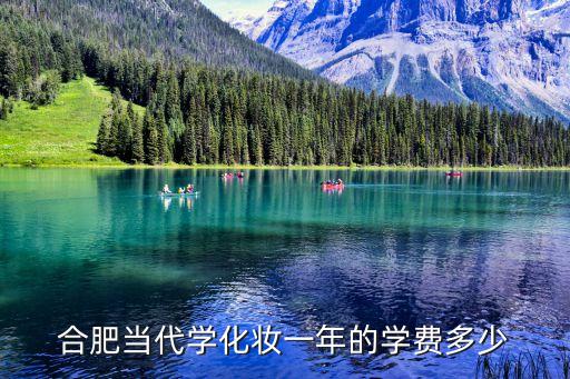 合肥当代学化妆一年的学费多少
