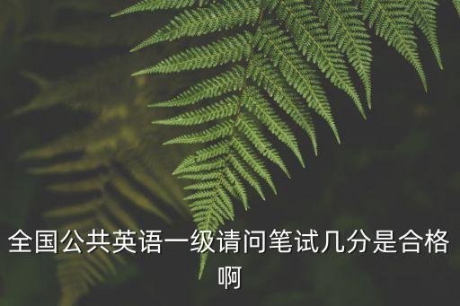 全国公共英语一级请问笔试几分是合格啊