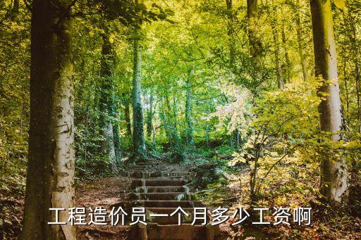 工程造价员一个月多少工资啊