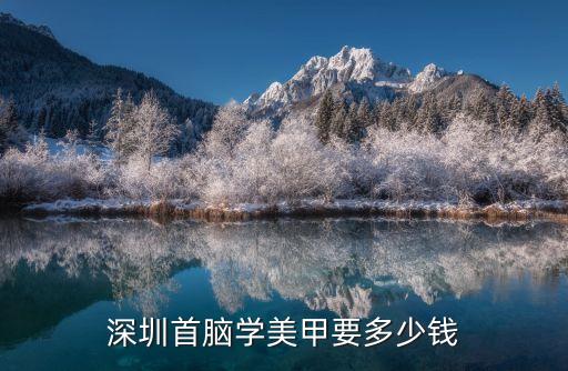 深圳首脑学美甲要多少钱