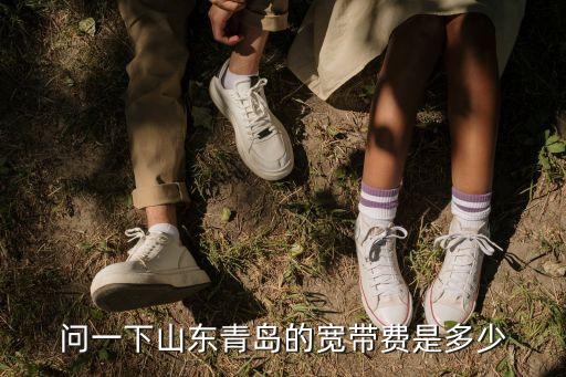 青岛新通费用是多少钱，青岛这的宽带费用各是多少
