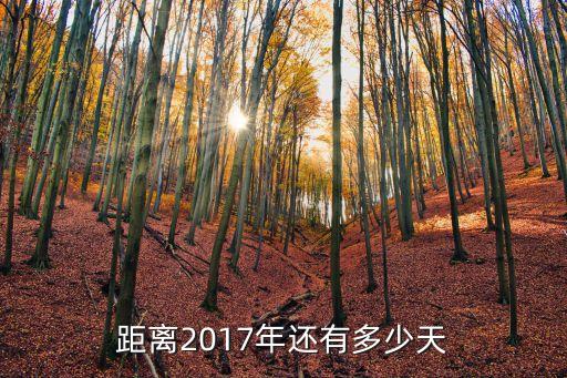 距离2017年还有多少天