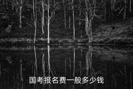 登录考试官网网址是多少钱，问问考试网站是多少啊