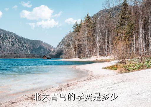 北大青鸟收费是多少，北大青鸟的学费是多少