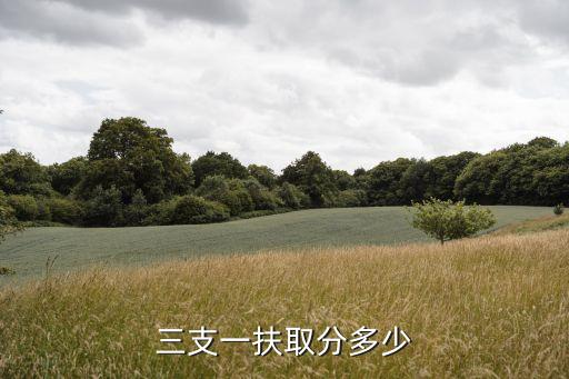 三支一扶取分多少