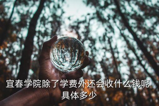 宜春学院除了学费外还会收什么钱呢 具体多少