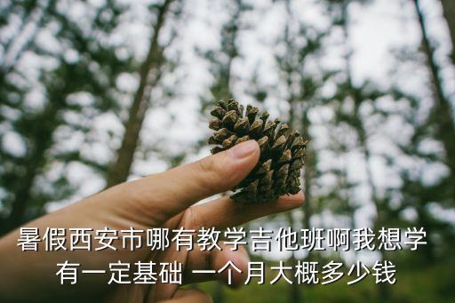 暑假西安市哪有教学吉他班啊我想学 有一定基础 一个月大概多少钱