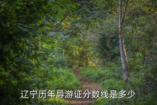 辽宁历年导游证分数线是多少