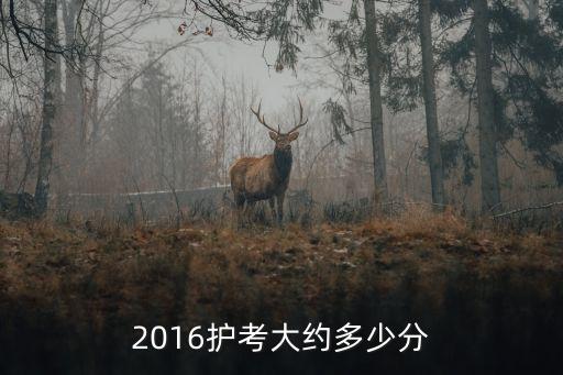 2016护考大约多少分