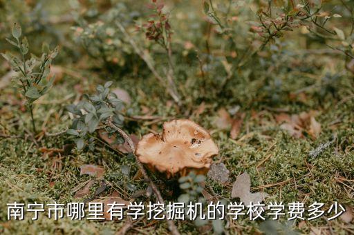 南宁市哪里有学挖掘机的学校学费多少
