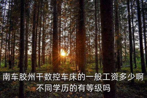 胶州职业数控多少分，辽宁装备制造职业技术学院数控专业录取分数线