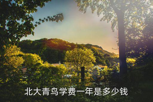 北大青鸟学费一年是多少钱