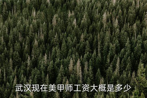 在武汉美甲一般多少钱一个月，请问武汉或广州美甲师一个月的工资实际有多少