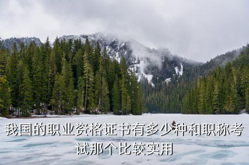 有多少资格证书，我国的职业资格证书有多少种和职称考试那个比较实用
