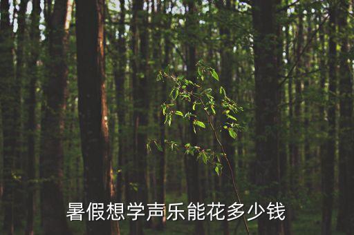 暑假想学声乐能花多少钱