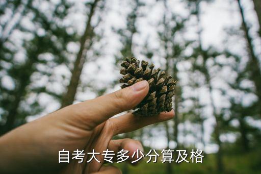 自考大专多少分算及格