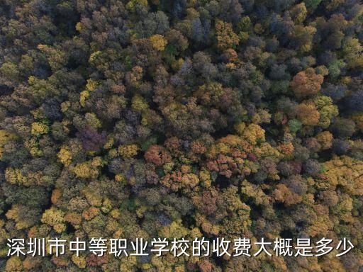 深圳市中等职业学校的收费大概是多少