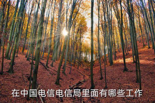 在中国电信电信局里面有哪些工作