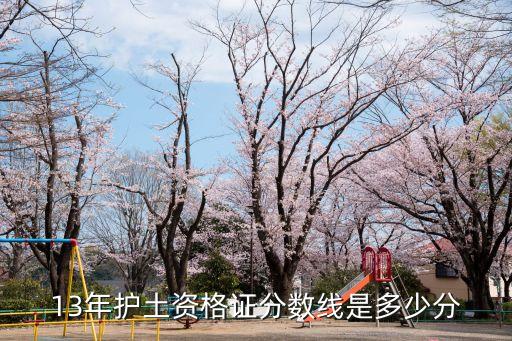 护土分数多少分达标，13年护土资格证分数线是多少分