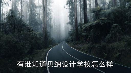 有谁知道贝纳设计学校怎么样