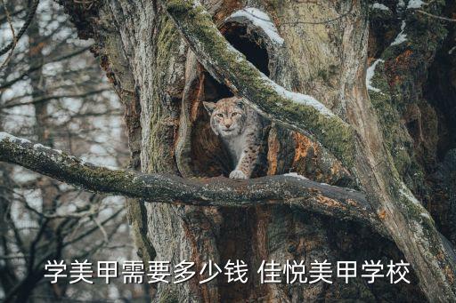 学美甲需要多少钱 佳悦美甲学校