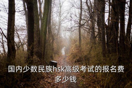 国内少数民族hsk高级考试的报名费多少钱