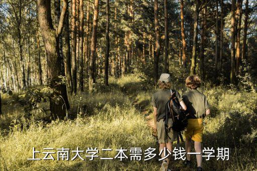 上云南大学二本需多少钱一学期