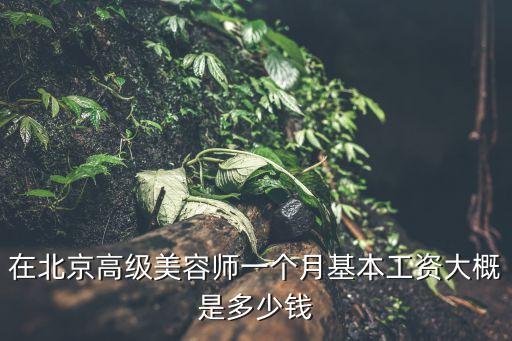 在北京高级美容师一个月基本工资大概是多少钱