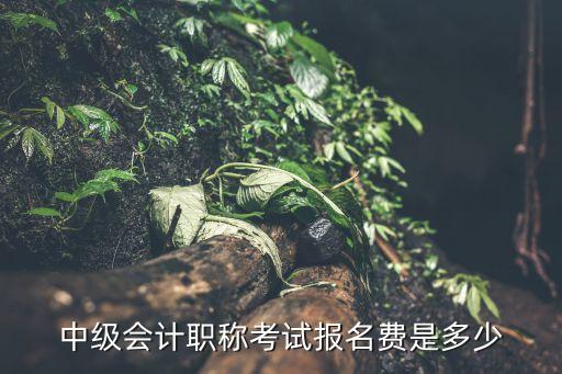 中级职称报考费多少，会计中级职称考试费每科是多少钱