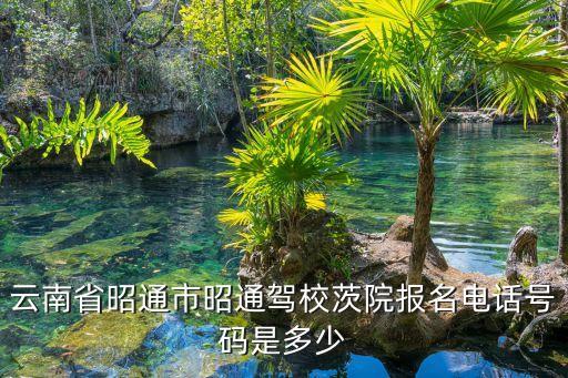云南省昭通市昭通驾校茨院报名电话号码是多少