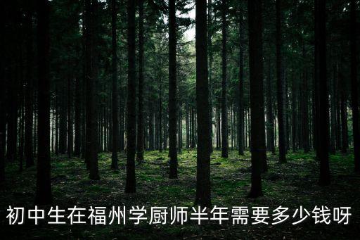 初中生在福州学厨师半年需要多少钱呀