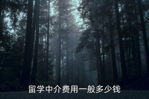 留学中介费用一般多少钱