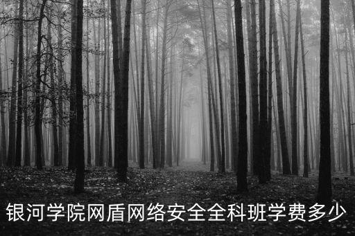 银河学院网盾网络安全全科班学费多少
